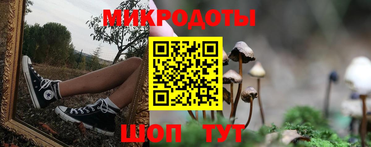 Галлюциногенные грибы Cubensis Сунжа